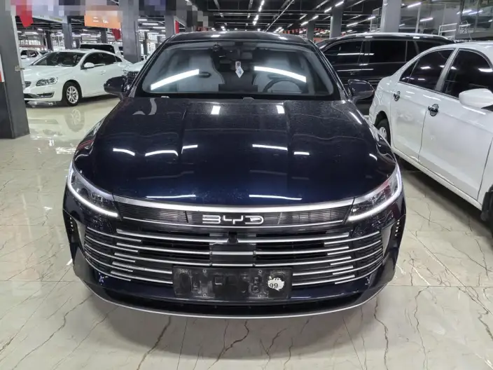 BYD Destroyer 05 2024 Model Honor Edition DM-i 55KM Luxury Model – фото 2