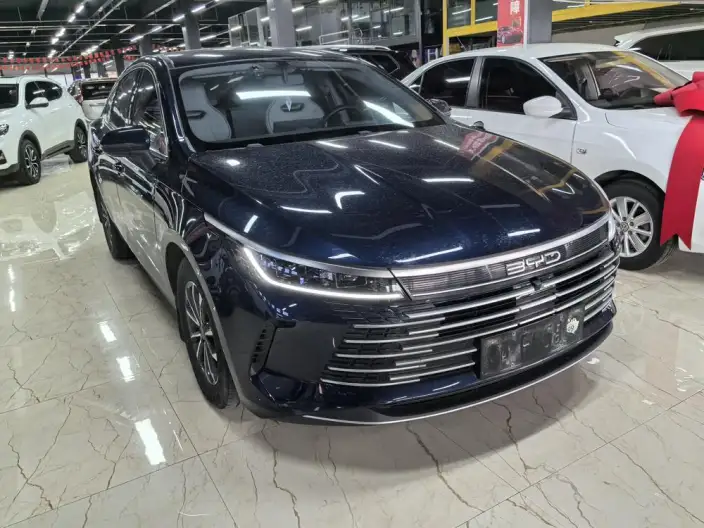 BYD Destroyer 05 2024 Model Honor Edition DM-i 55KM Luxury Model – фото 3