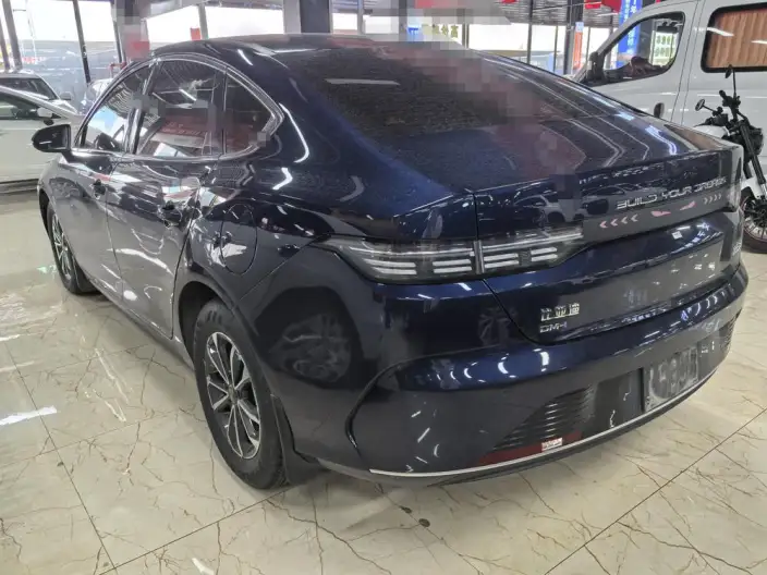 BYD Destroyer 05 2024 Model Honor Edition DM-i 55KM Luxury Model – фото 4