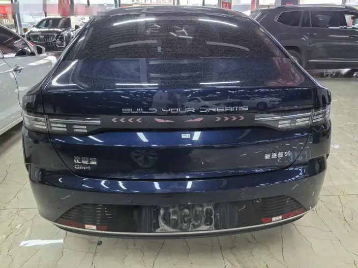 BYD Destroyer 05 2024 Model Honor Edition DM-i 55KM Luxury Model – фото 5