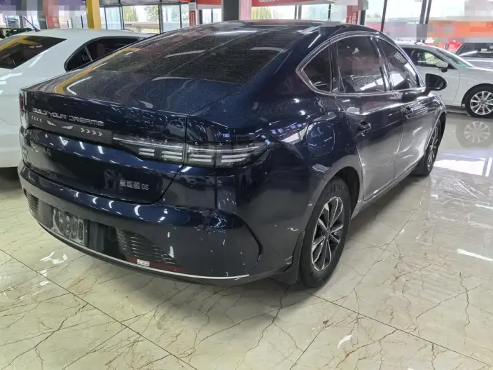 BYD Destroyer 05 2024 Model Honor Edition DM-i 55KM Luxury Model – фото 6