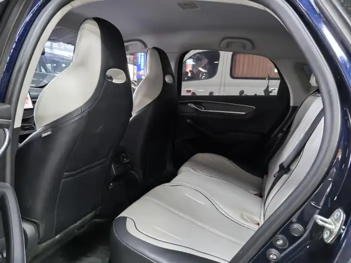BYD Destroyer 05 2024 Model Honor Edition DM-i 55KM Luxury Model – фото 11
