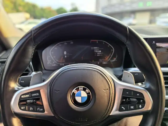 BMW 3 Series 2021 Model 325Li M Sports Night Set – фото 11