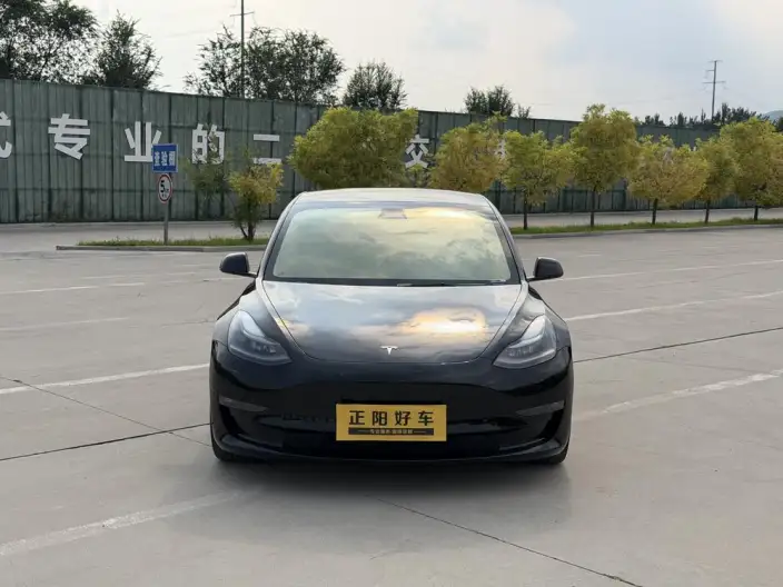 Model 3 2021 Model Performance High performance All-wheel drive version 3D3/3D6