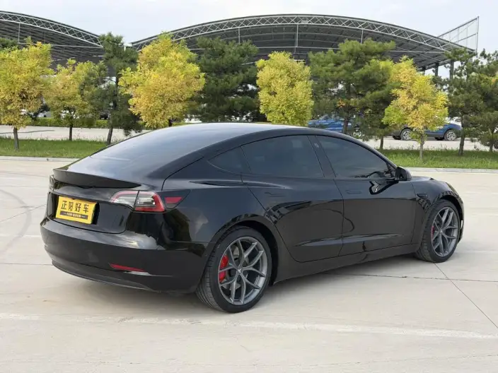 Model 3 2021 Model Performance High performance All-wheel drive version 3D3/3D6