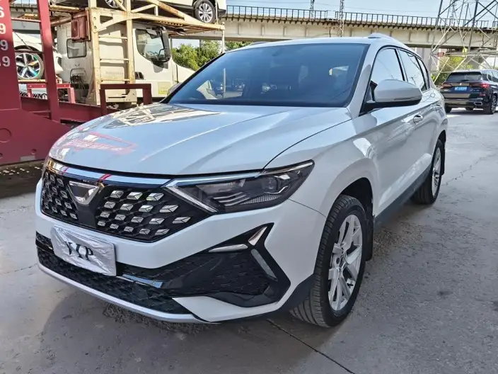Jeta VS5 2023 Model 280TSI Automatic Yuexiang Edition – фото 1