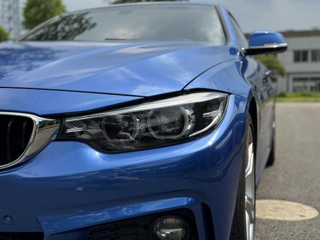 BMW 4 Series 2017 модификация 425i Gran Coupe Leading M Sports Set – фото 7