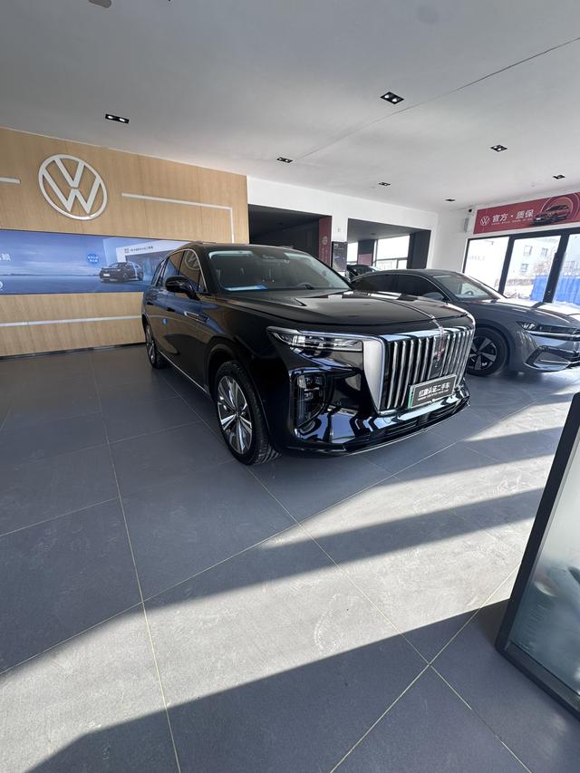 HONGQI E-HS9 2022 690km Flagship Edition 6-Seater – фото 9