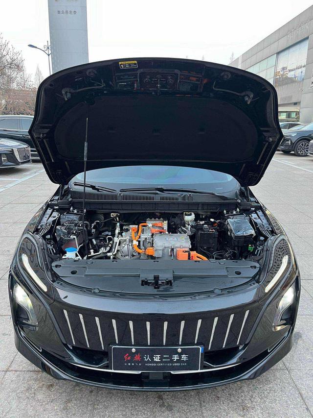 Hongqi E-QM5 2024 модификация 450KM Travel Edition 100kW – фото 8
