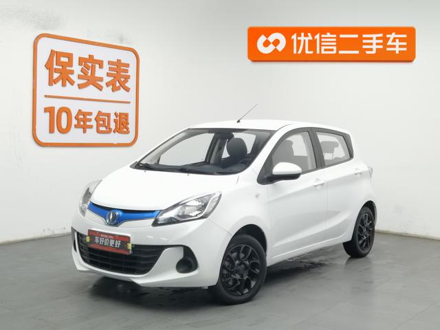 Benben EV Модель 2019 года EC260 Standard type – фото 1