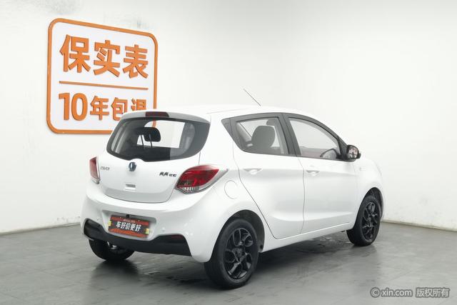 Benben EV Модель 2019 года EC260 Standard type – фото 2