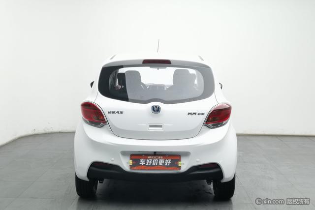 Benben EV Модель 2019 года EC260 Standard type – фото 4