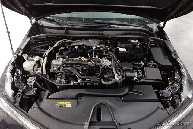 Asia Lion 2021 2.0L Flagship Edition – фото 7