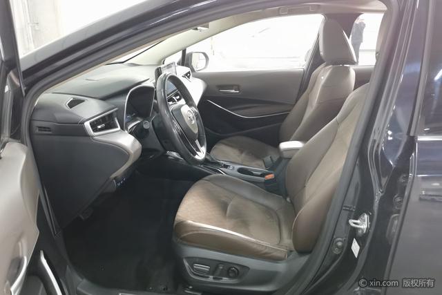 Asia Lion 2021 2.0L Flagship Edition – фото 13