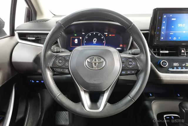 Asia Lion 2021 2.0L Flagship Edition – фото 15