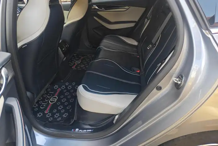 BYD Qin PLUS DM 2021 Model DM-i 55KM Flagship Model – фото 16