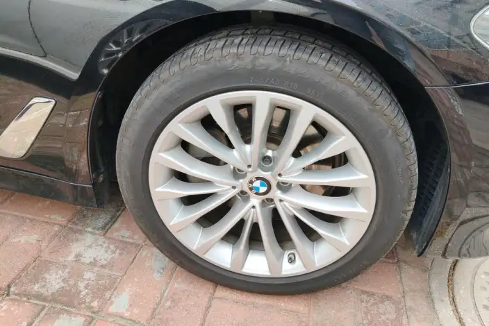 BMW 5 Series 2020 Model 525Li Luxury Set – фото 21