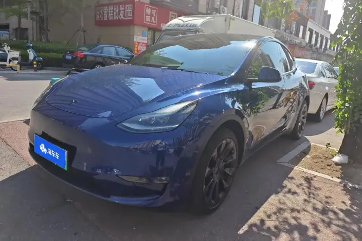 Model Y 2021 Model Long Battery Life Pro All-wheel drive version – фото 1