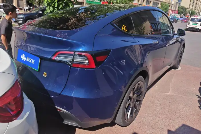 Model Y 2021 Model Long Battery Life Pro All-wheel drive version – фото 3