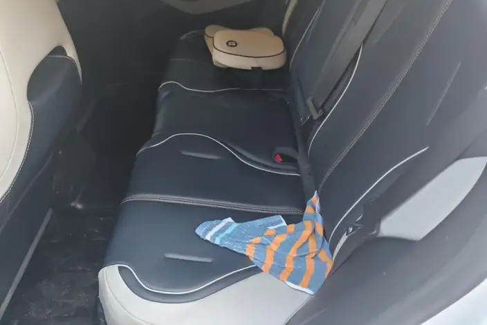 Qin Plus EV 2021 Model 500KM Luxury Model – фото 16