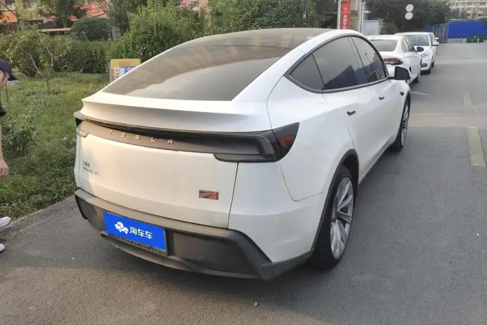 Model Y 2025 Model Long Battery Life Pro All-wheel drive version – фото 3