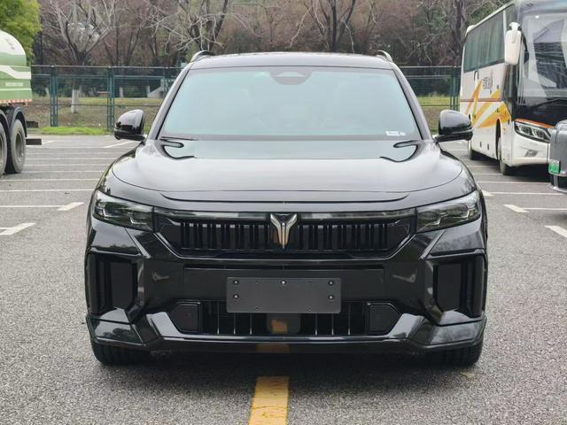 VOYAH FREE 2025 318 RWD Touring Edition