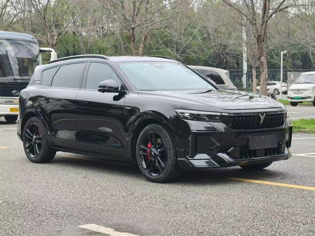 VOYAH FREE 2025 318 RWD Touring Edition