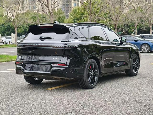 VOYAH FREE 2025 318 RWD Touring Edition – фото 9