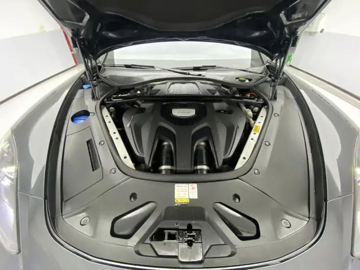 Panamera 2021 Model Panamera Executive Extended Edition 2.9T – фото 10