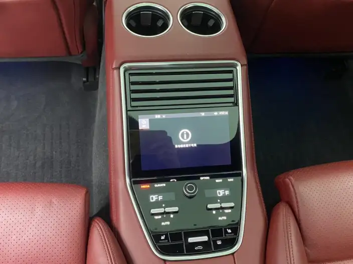 Panamera 2021 Model Panamera Executive Extended Edition 2.9T – фото 17