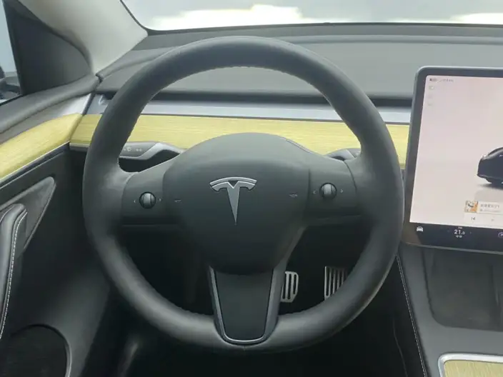 Model Y 2022 Model Facelift Rear-wheel drive version – фото 49