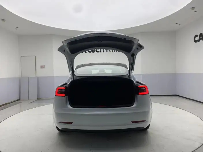 Model 3 2021 Model Standard Battery Life Rear Drive L Class Edition 3D1 – фото 11