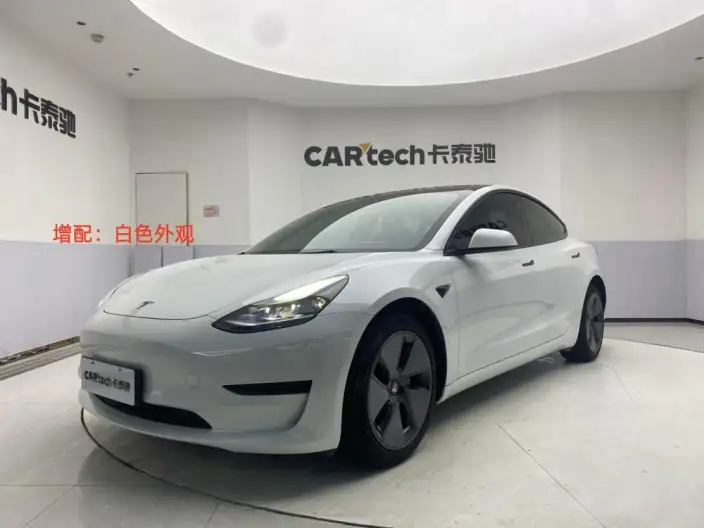 Model 3 2021 Model Standard Battery Life Rear Drive L Class Edition 3D1 – фото 15