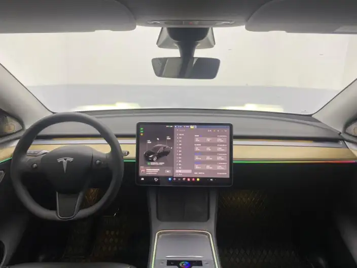 Model Y 2022 Model Rear-wheel drive version – фото 16