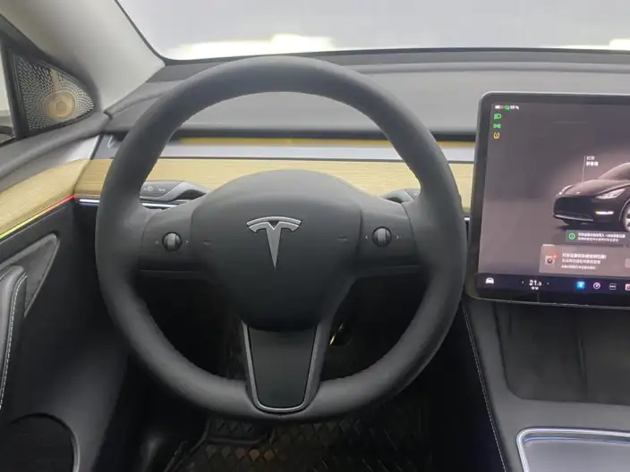 Model Y 2022 Model Rear-wheel drive version – фото 48