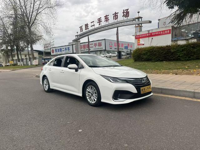 Asia Lion 2022 2.0L Premium – фото 3