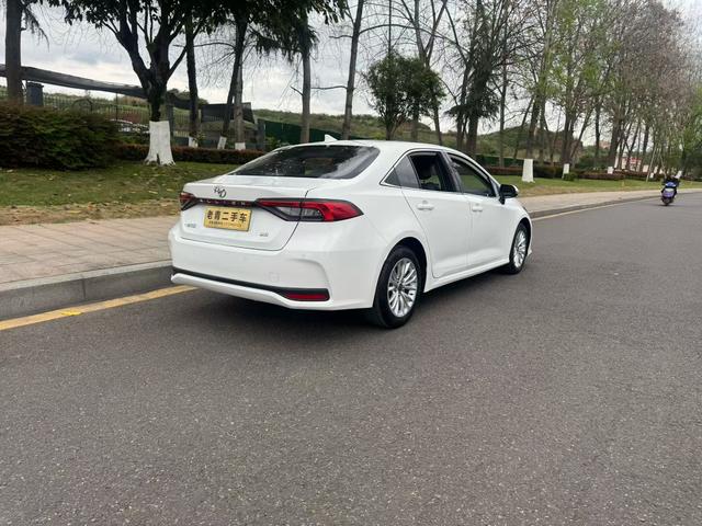 Asia Lion 2022 2.0L Premium – фото 4
