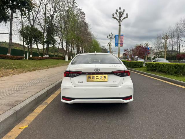 Asia Lion 2022 2.0L Premium – фото 5