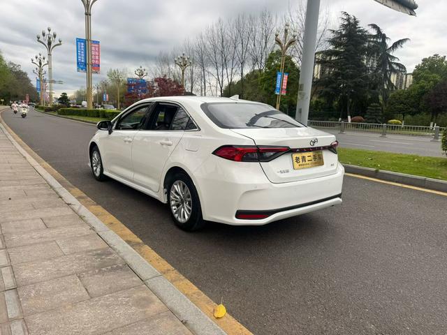 Asia Lion 2022 2.0L Premium – фото 6