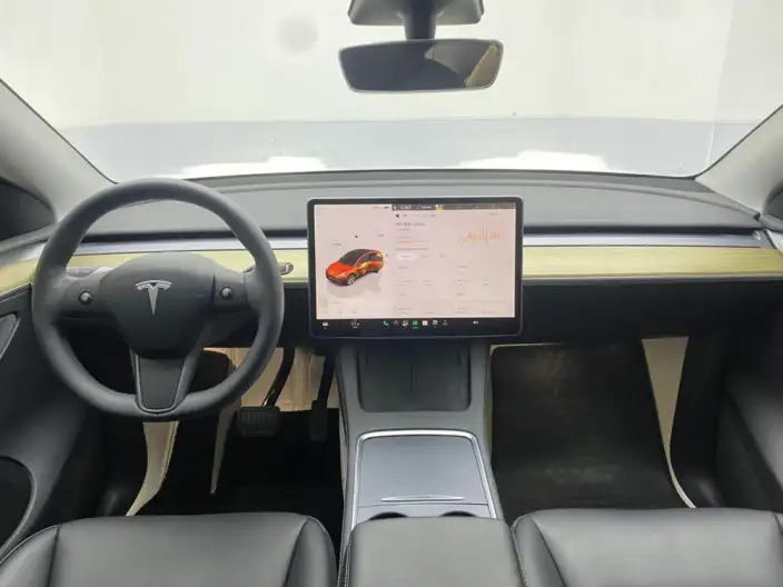 Model Y 2022 Model Facelift Rear-wheel drive version – фото 17