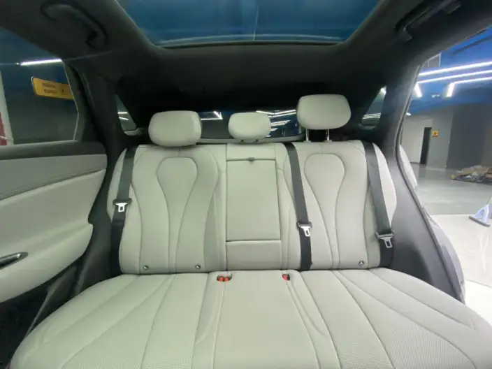 Sea Lion 06DM 2025 Model DM-i 205KM Pilot Plus Edition – фото 25