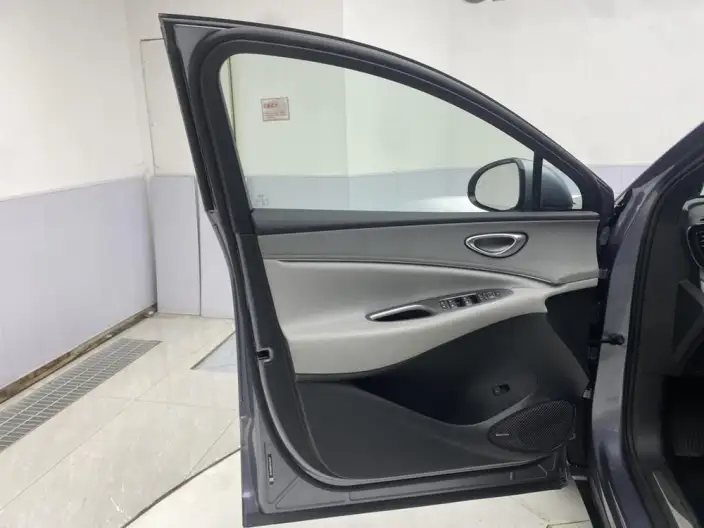 Sea Lion 06DM 2025 Model DM-i 205KM Pilot Plus Edition – фото 26