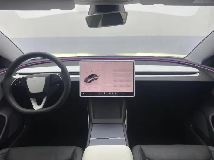 Model 3 2025 Model Facelift Rear-wheel drive version – фото 20