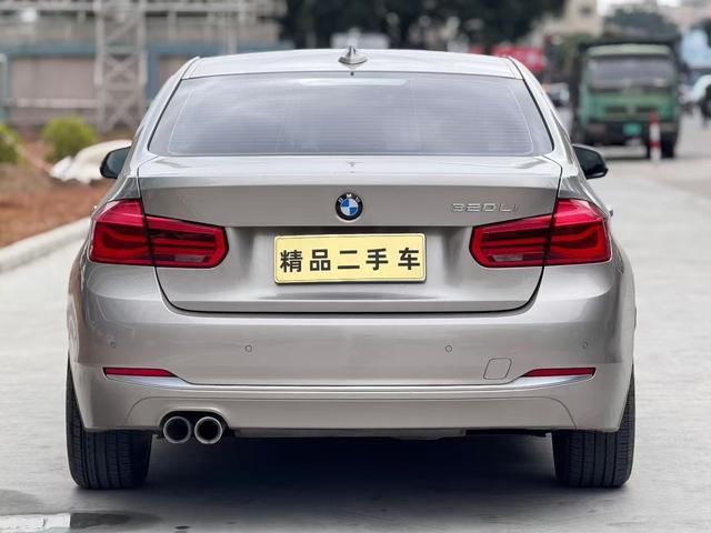 BMW 3 Series 2018 320Li Style – фото 8