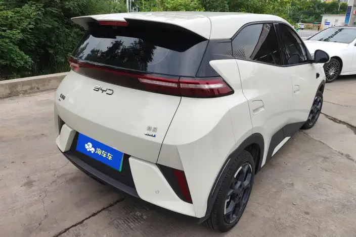 BYD Seagull 2025 Model Smart Driving Edition 305KM Free Edition – фото 3