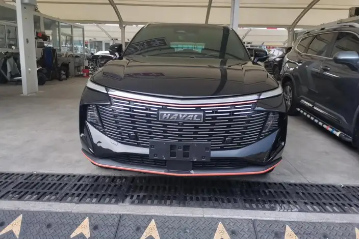 Haval Shenshou 2021 Model 1.5T Zhizun Edition – фото 19