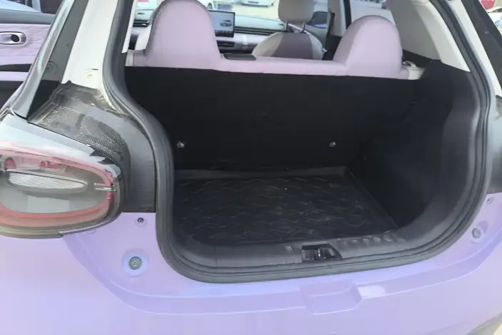 Dongfeng Nano 01 2024 Model 430Plus Smart + – фото 34