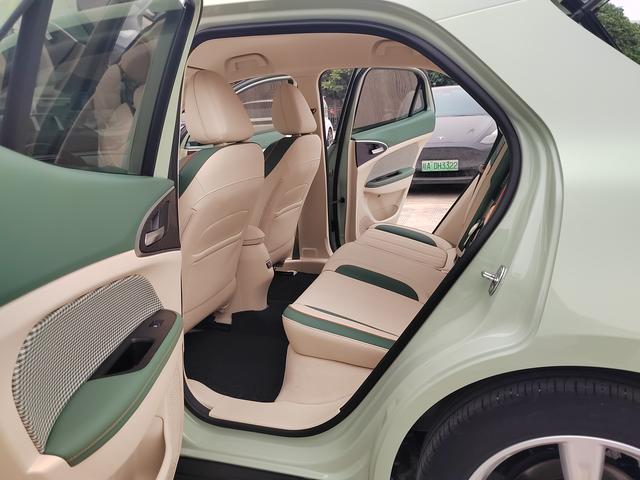 ORA Good Cat 2022 Morandi Edition 400km Standard Range Luxury Lithium Iron Phosphate – фото 9