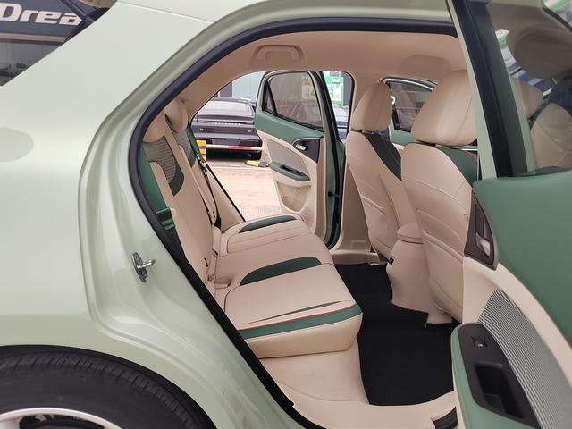ORA Good Cat 2022 Morandi Edition 400km Standard Range Luxury Lithium Iron Phosphate – фото 11