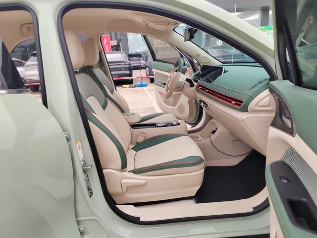 ORA Good Cat 2022 Morandi Edition 400km Standard Range Luxury Lithium Iron Phosphate – фото 12